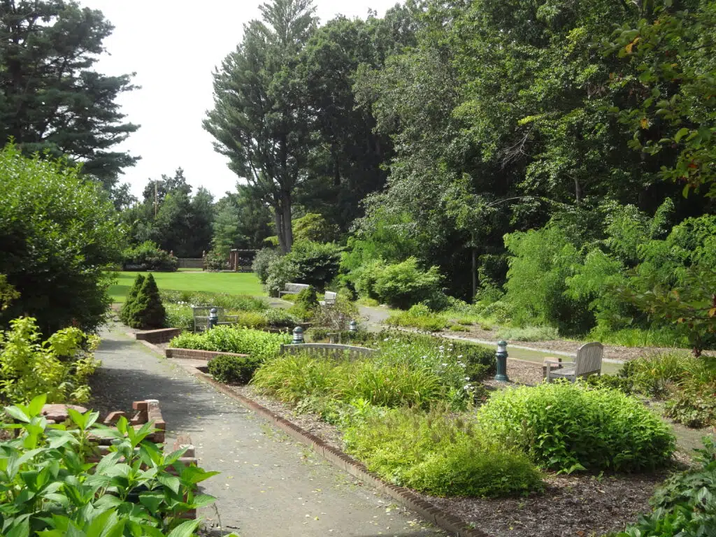 Dutch Gardens