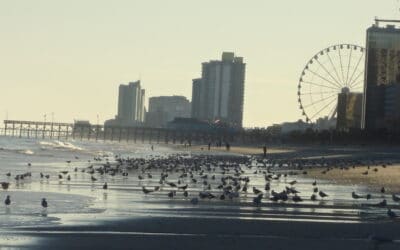 Boardwalk: Myrtle Beach, SC