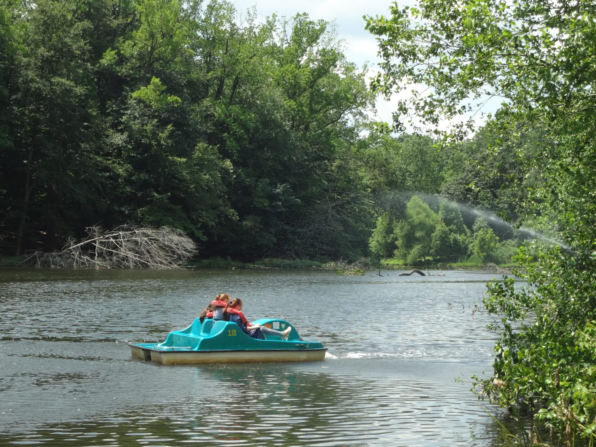 Echo Lake Park and Paddle Boating Mountainside, NJ Been There Done That Trips