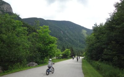 Sport Thoma Bike Rental: Lincoln, NH