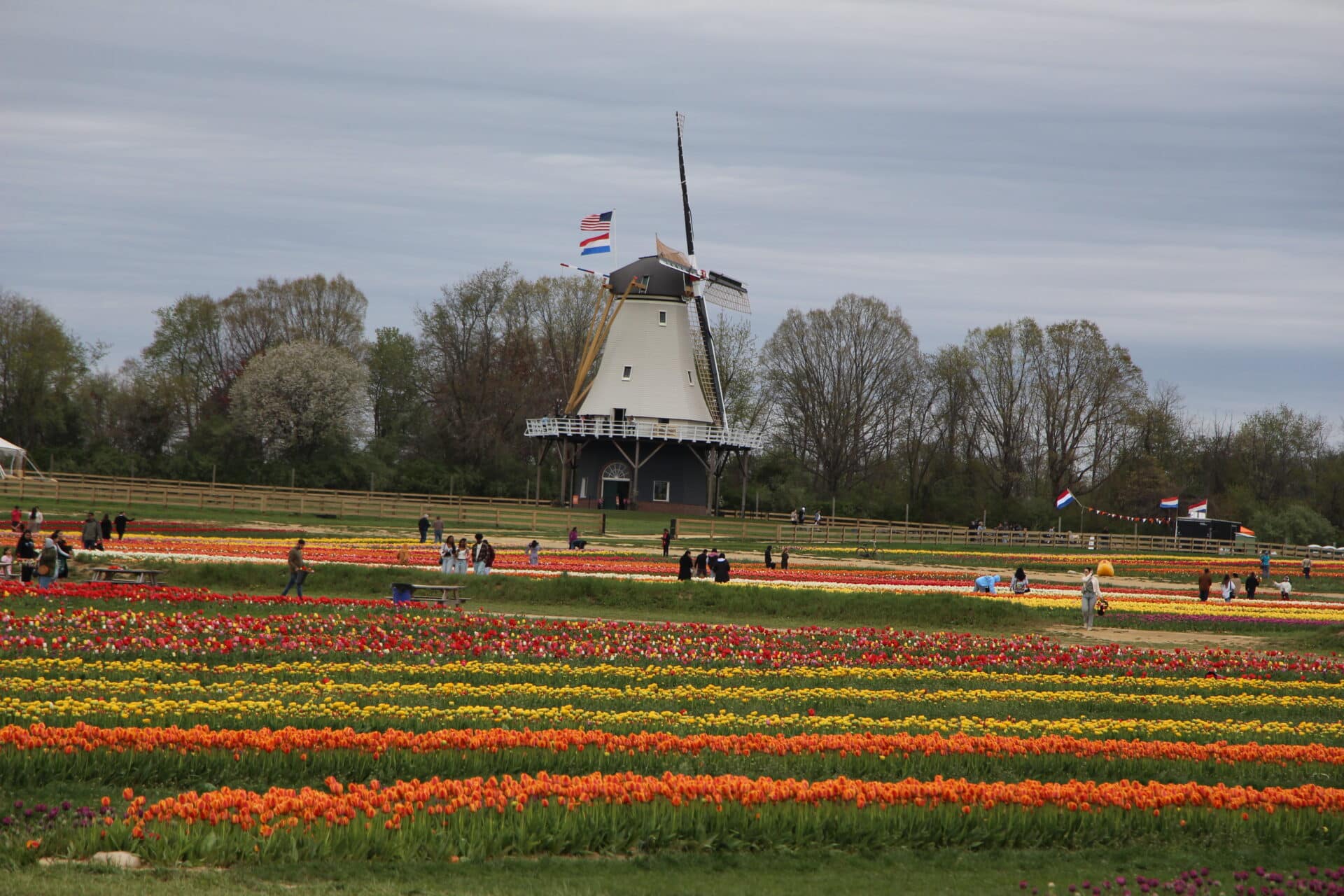 Holland Ridge Farms: Cream Ridge, NJ - Been There Done That Trips