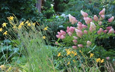Carl S. English Jr. Botanical Garden: Seattle, WA