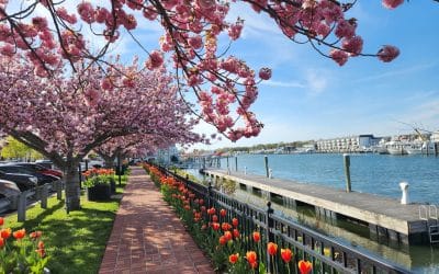 1812 Memorial Park: Lewes, DE