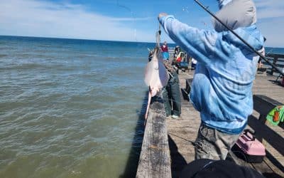 Avlon Fishing Pier: Kill Devil Hills, NC