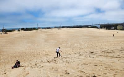 Jockey’s Ridge State Park: Nags Head, NC