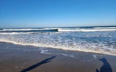 Outer Banks: North Carolina
