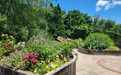 Bartlett Arboretum & Gardens: Stamford, CT