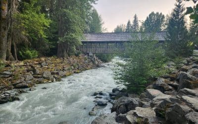 Fitzsimmons Creek: Whistler, BC