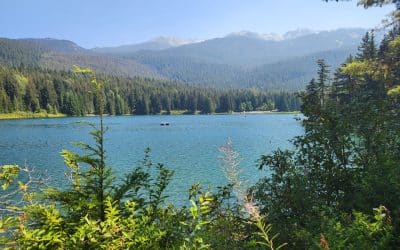 Lost Lake Park: Whistler, BC